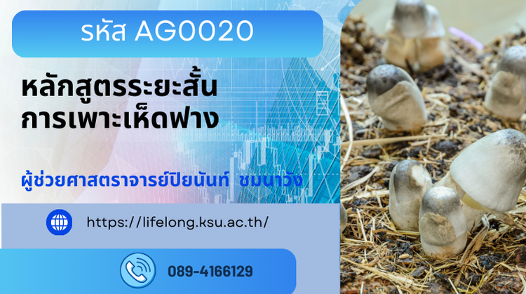 AG0020 หลักสูตรการเพาะเห็ดฟาง